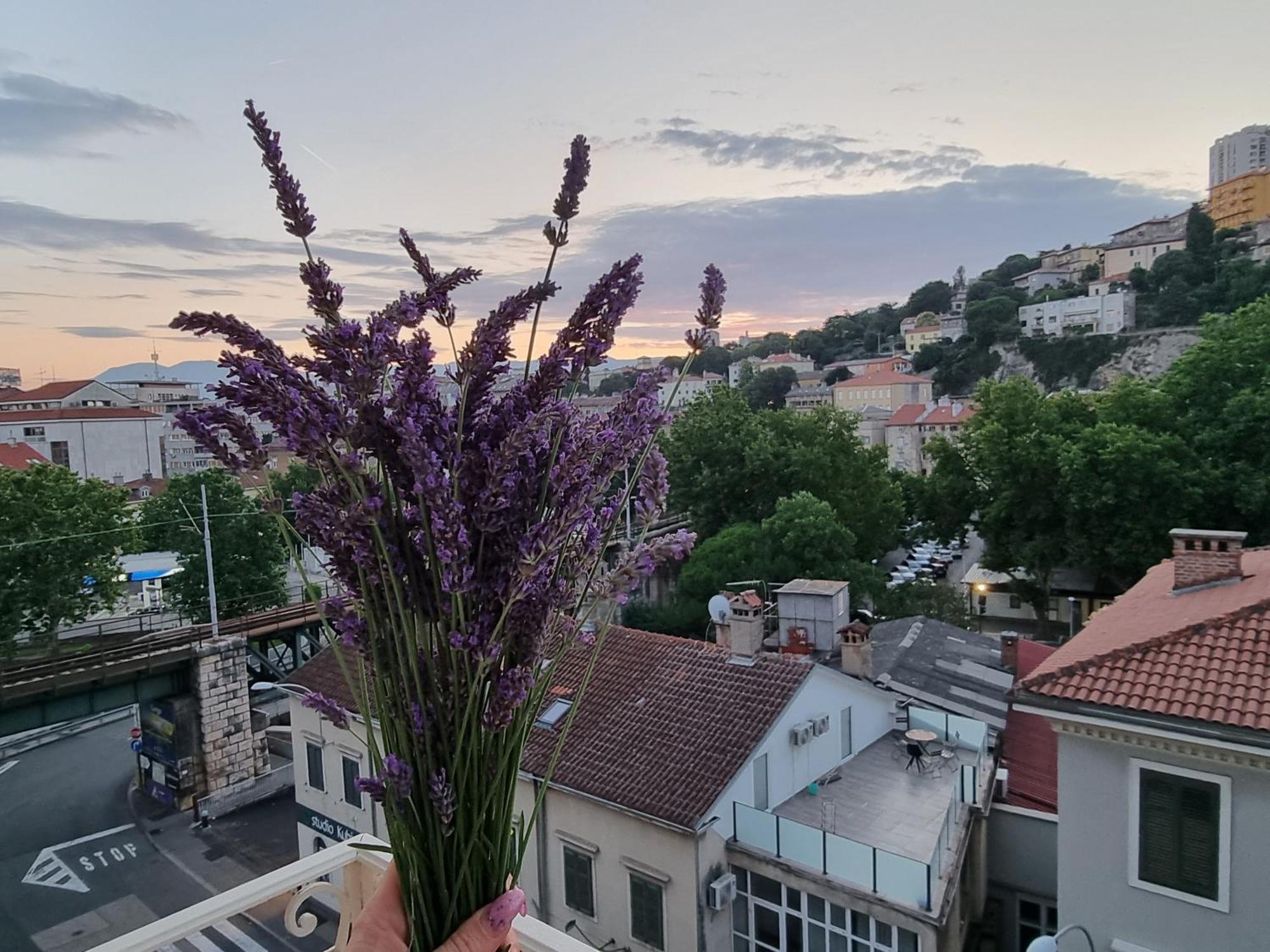 ***Apartment Magic &Summervibes*** リエカ エクステリア 写真