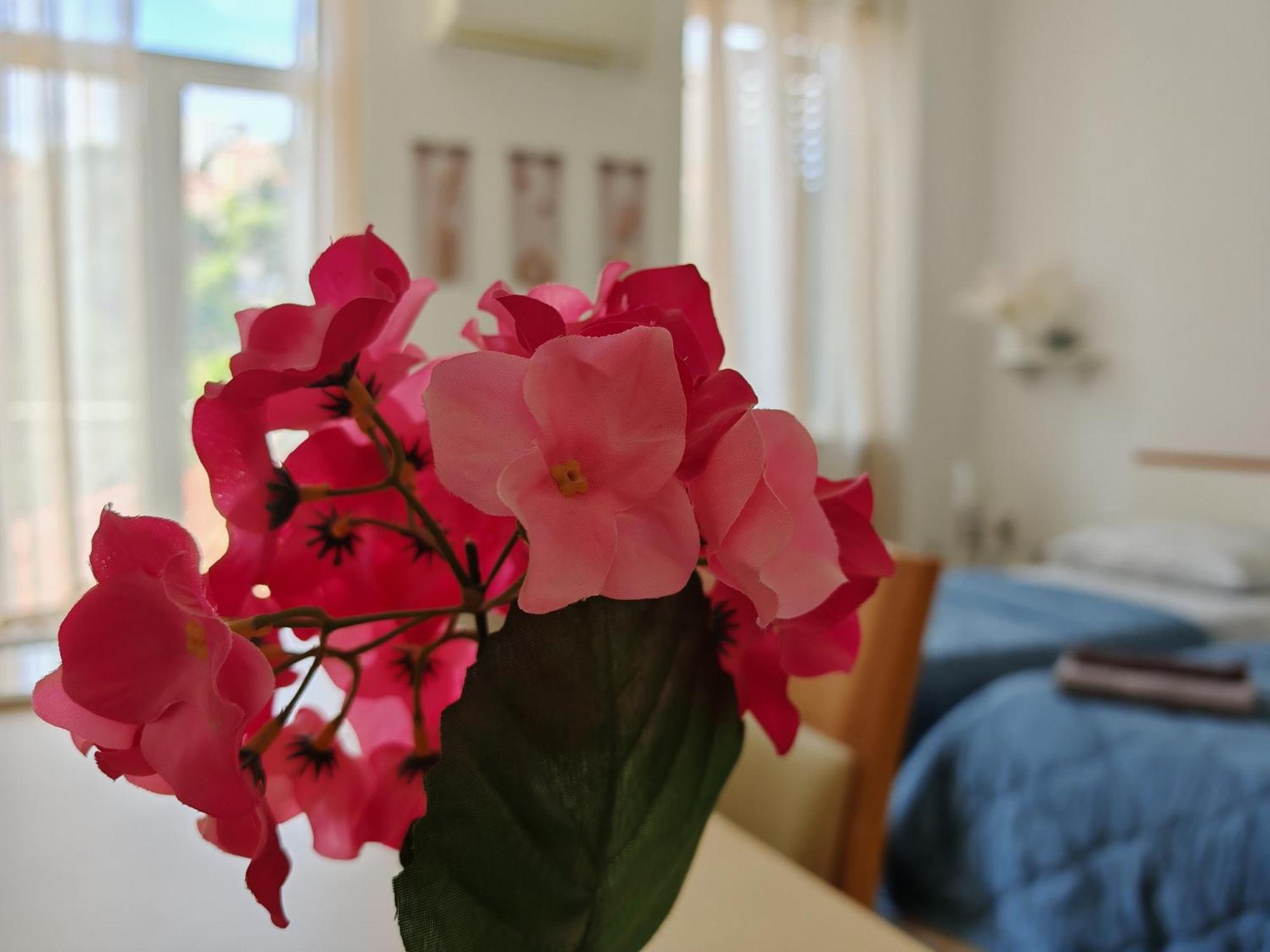 ***Apartment Magic &Summervibes*** リエカ エクステリア 写真