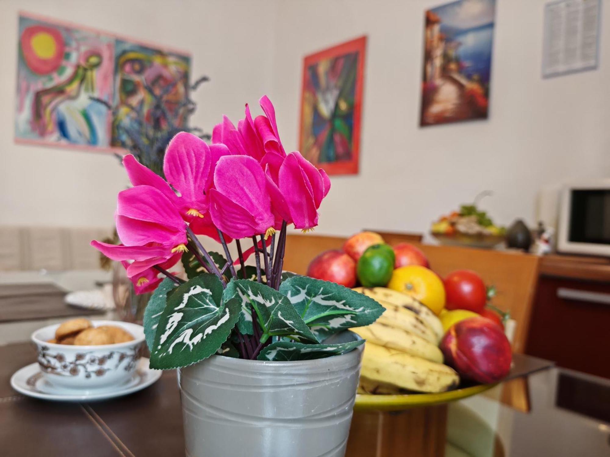 ***Apartment Magic &Summervibes*** リエカ エクステリア 写真